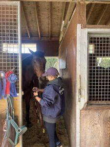 ノーザンホースパーク🐎